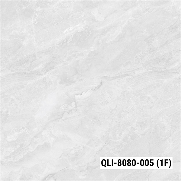 QLI-8080-005